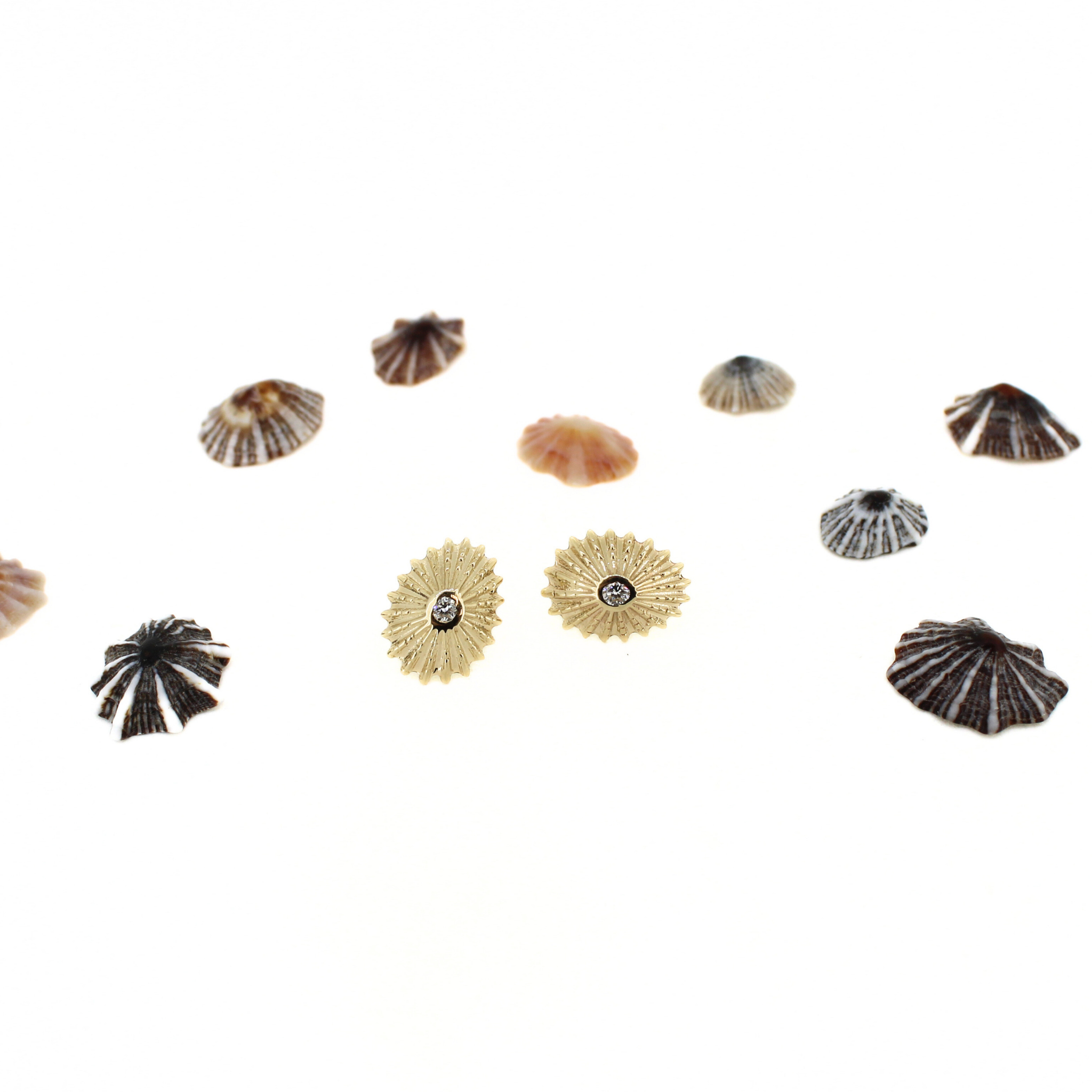 14k Gold Diamond Opihi Shell Stud Earrings