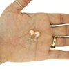 14k Gold Peach Edison Pearl Stud Earrings