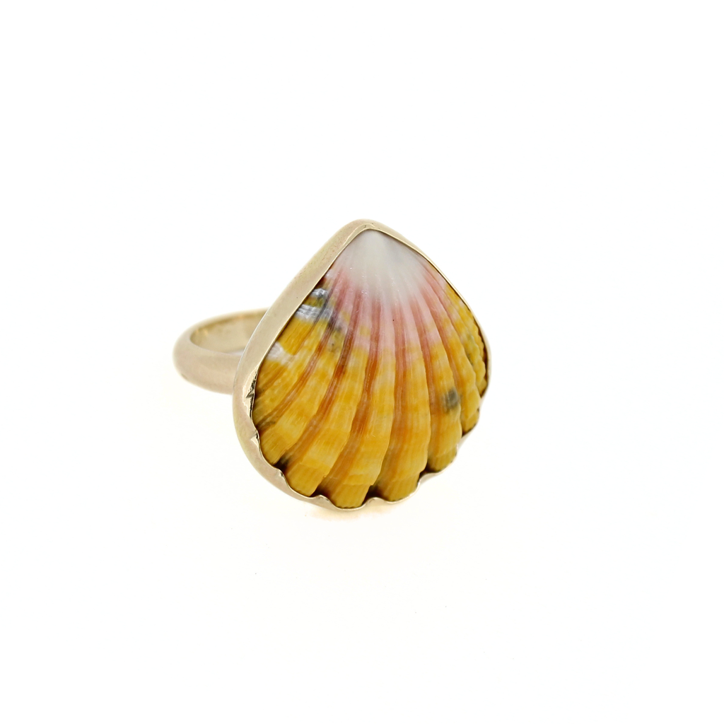 Brianne and Company Gold Sunrise Shell Ring Size 7