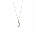 Brianne 
& Co. dainty 14k white gold diamond moon necklace