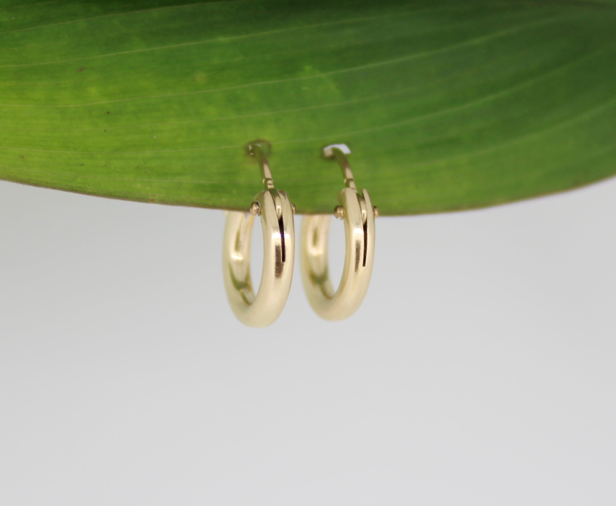 Gold fill hoop earrings 12mm Brianne & Co.