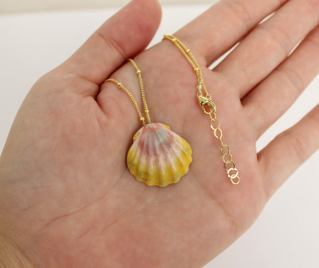 Sunrise shell necklace in 14k gold fill by Brianne & Co.