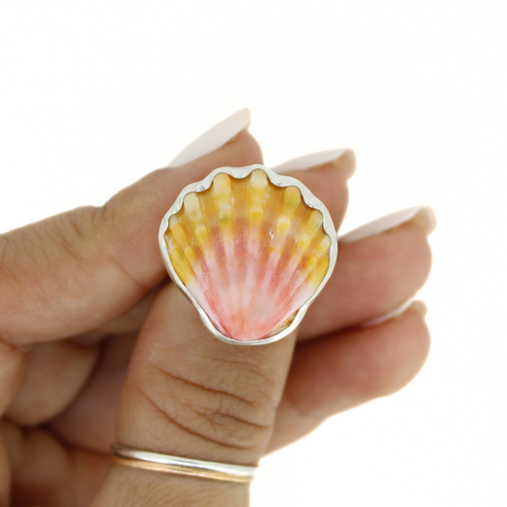 Brianne & Co. sterling silver bezel set Hawaiian sunrise shell ring size 6