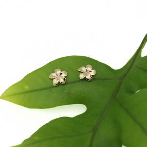 Brianne & Co. small 14k yellow gold plumeria stud earrings