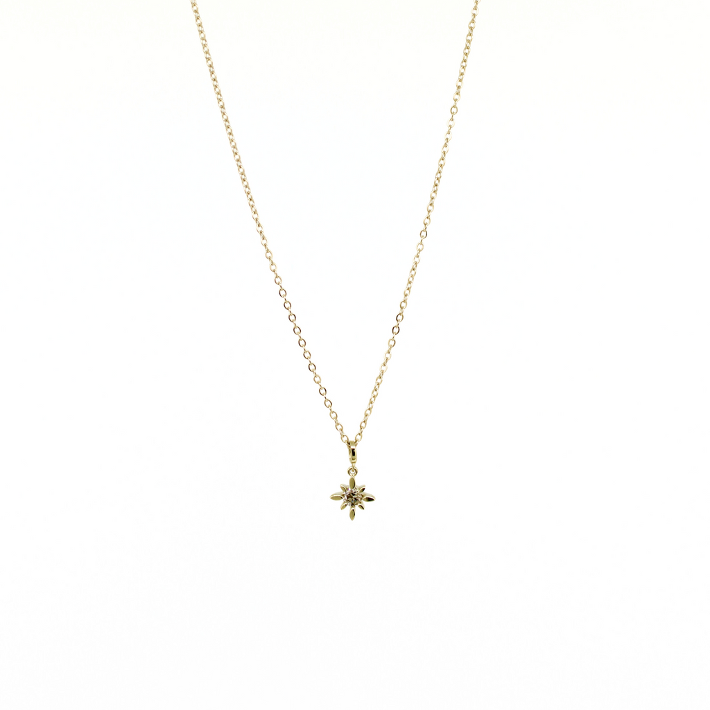 Brianne & Co. 14K Yellow Gold Diamond Star Necklace