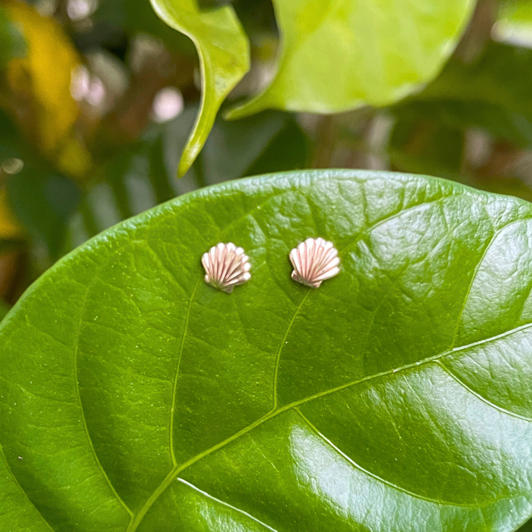 Brianne & Co. 14k gold filled tiny 6mm shell stud earrings