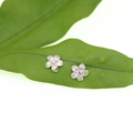 Brianne & Co. sterling silver small plumeria stud earrings with cubic zirconia