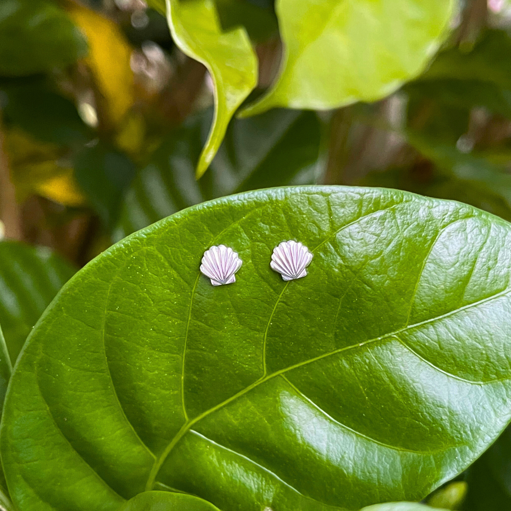 Sterling Silver Tiny Shell Studs