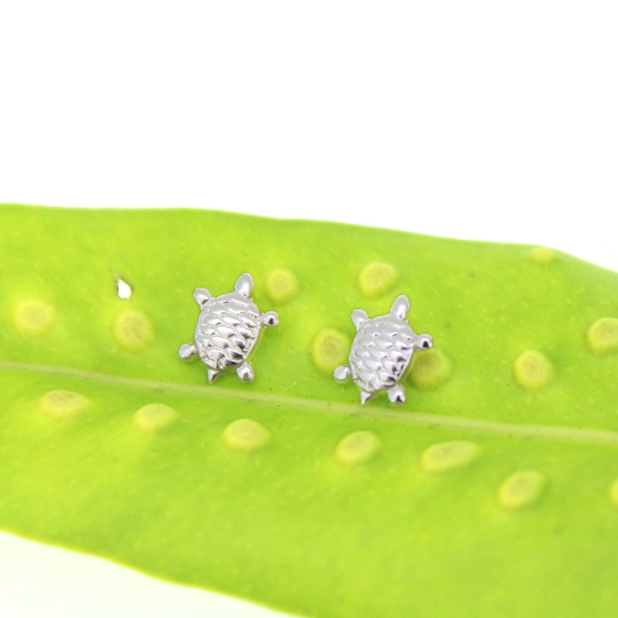 Brianne & Co. sterling silver tiny honu turtle stud earrings
