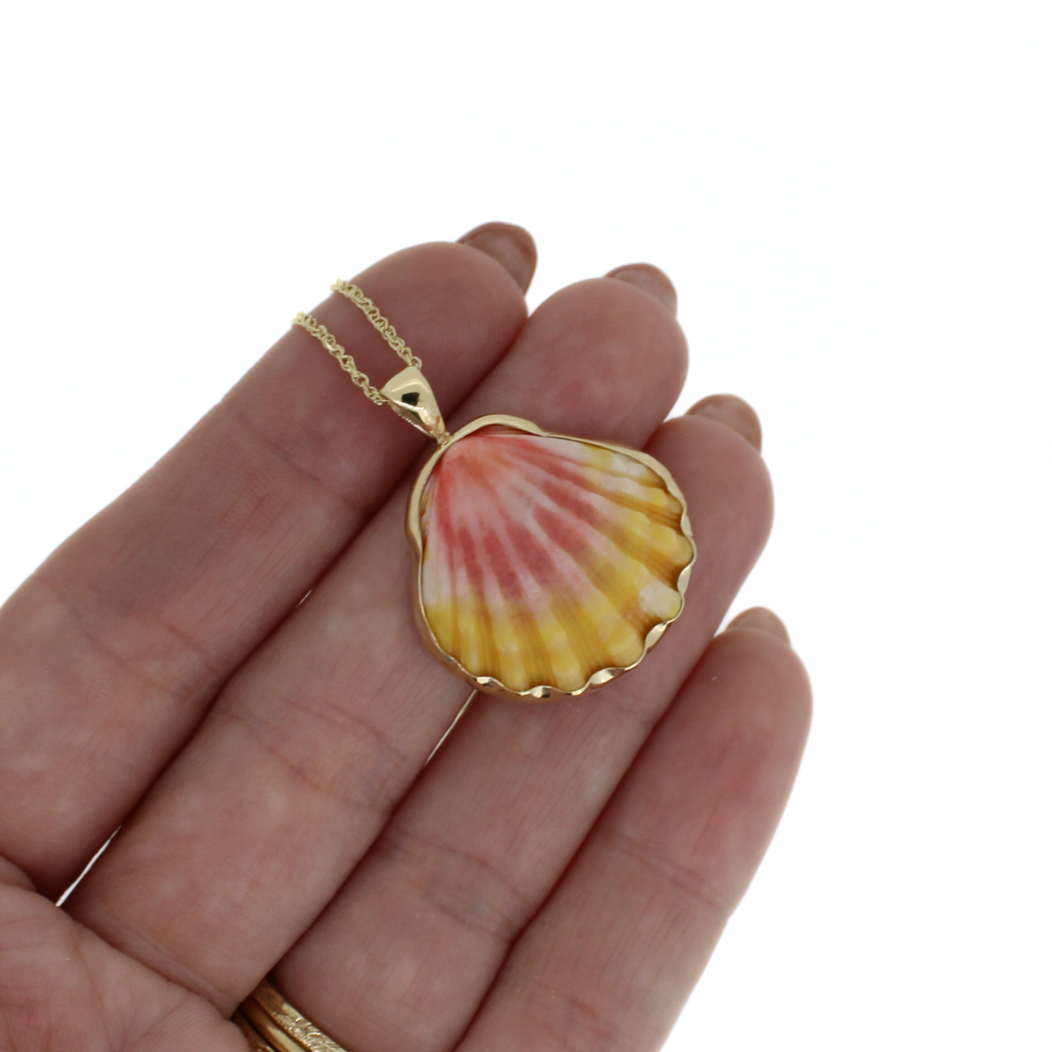 14k Gold Sunrise Shell Necklace