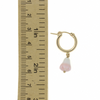 Gold Fill Pikake Flower Conch Shell Hoops 15mm