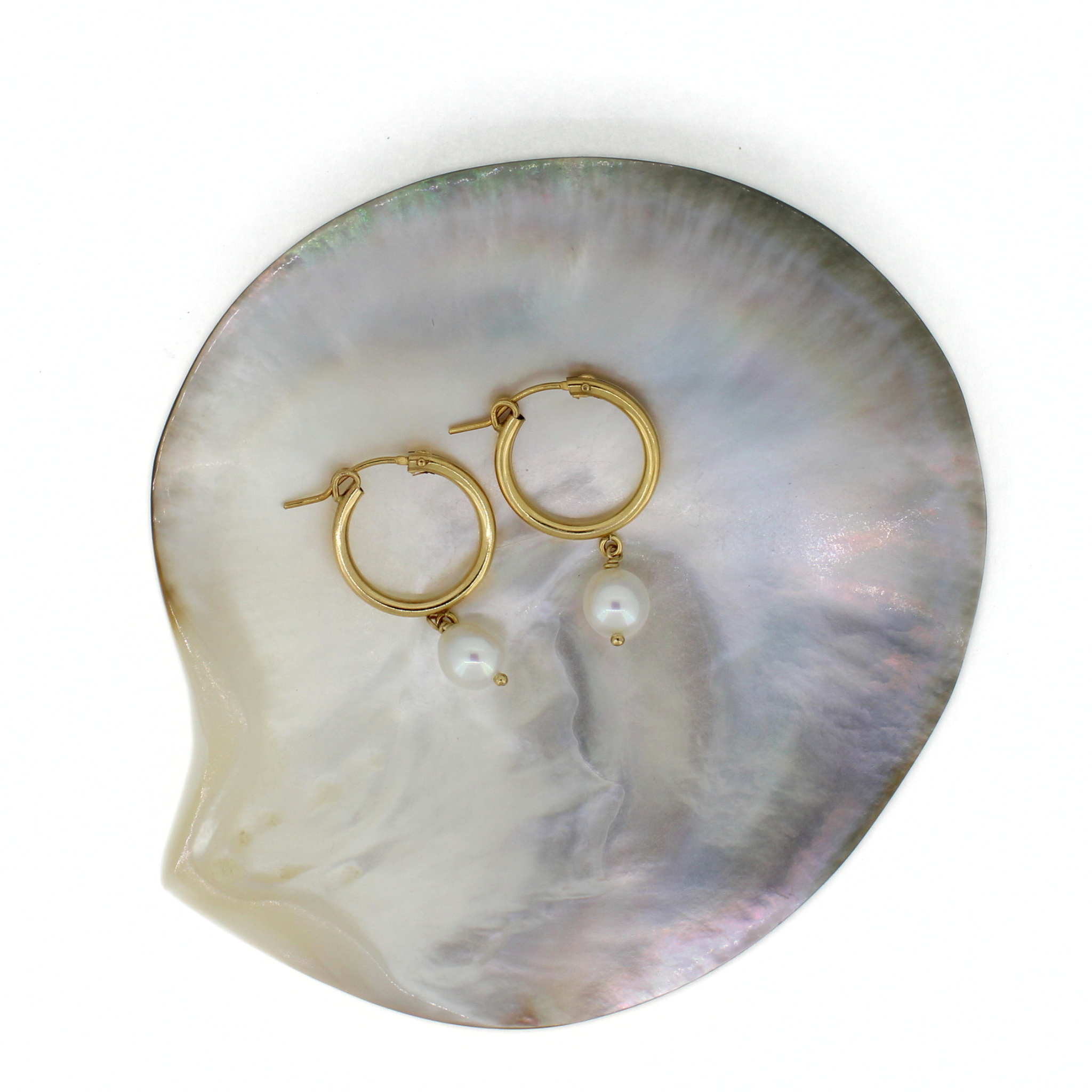 Gold hoop earrings with dangling white pearl beads, displayed on a natural iridescent mother-of-pearl shell against a white background.