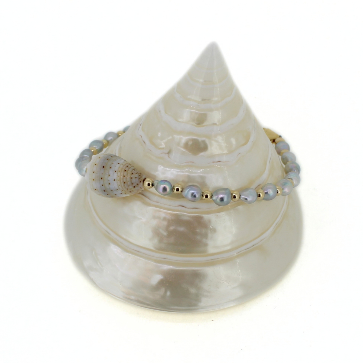 A beaded bracelet with iridescent light blue-gray pearls, small gold spacer beads, and a cone shell, displayed on a white seashell stand against a white background.