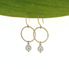 Gold fill small hoop earrings with white fresh water pearls handmade by Brianne & co. 