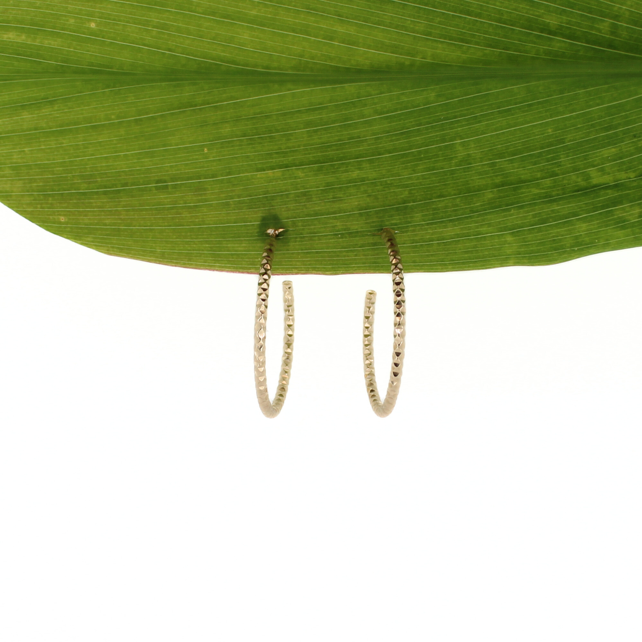 Brianne & Co. gold fill faceted hoop earrings front view