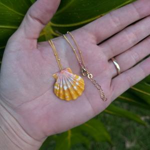Gold fill orange sunrise shell necklace 18"-19" long by Brianne & Co.