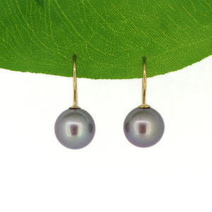 Gold Fill Purple Edison Pearl Earrings