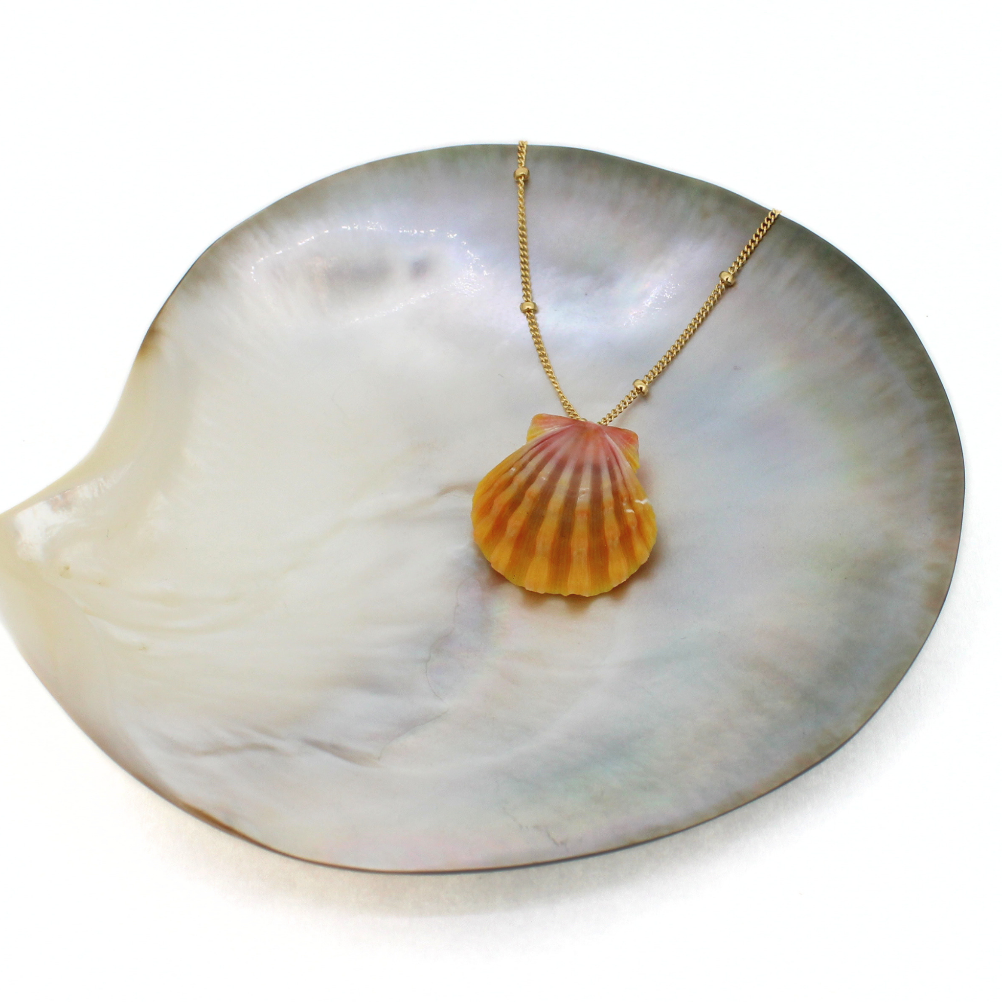 Brianne & Co. simple Hawaiian sunrise shell pendant with a gold chain
