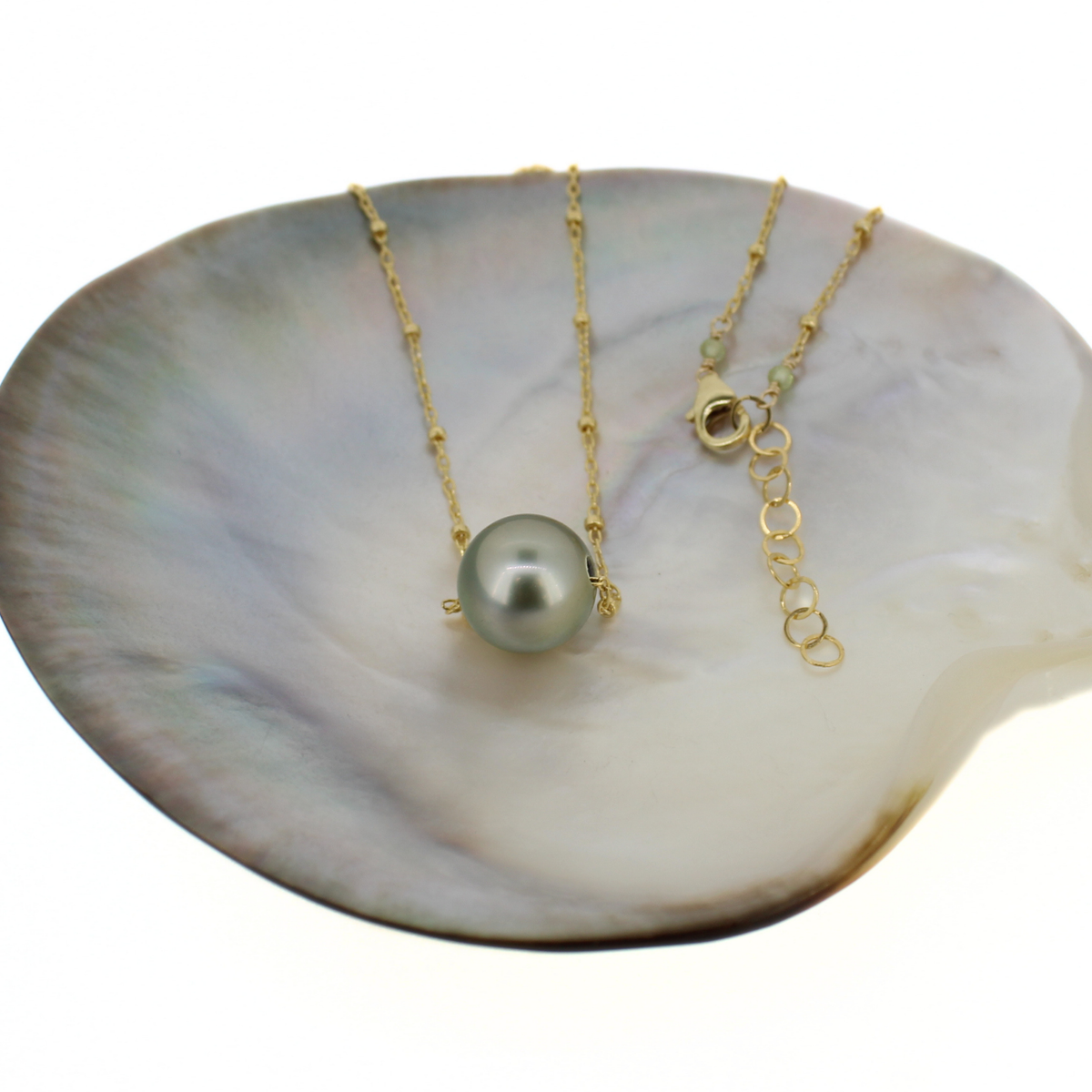 A gold necklace with a single round gray-green pearl pendant, displayed on a white iridescent shell against a white background.
