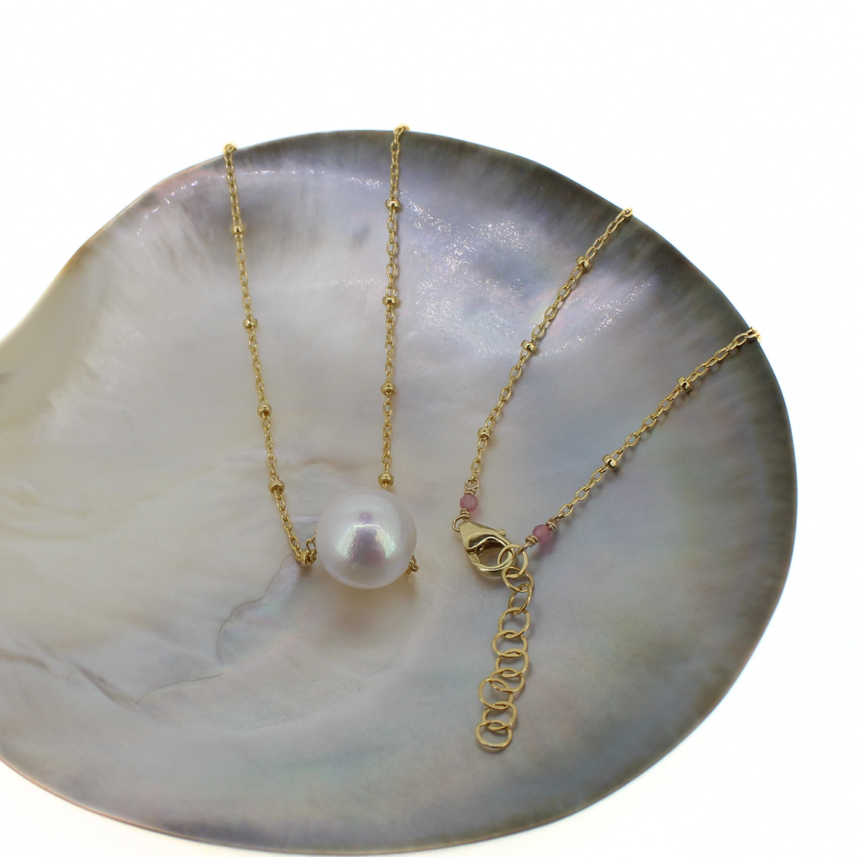 A delicate gold chain necklace with a single lustrous pearl pendant, displayed on a large iridescent shell against a white background.