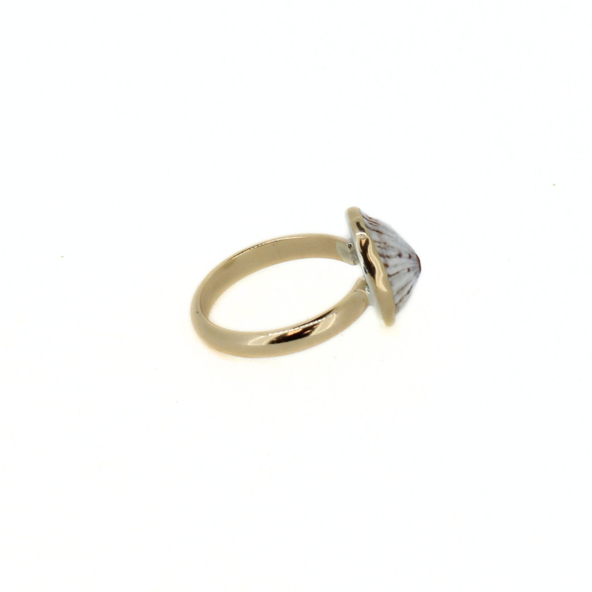 Gold tone ring with oval bezel-set opihi shell, side profile