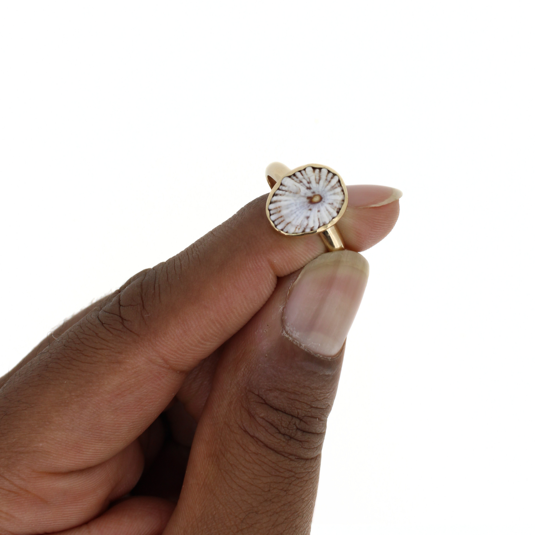 Gold tone ring with oval opihi shell inlay, close-up on finger