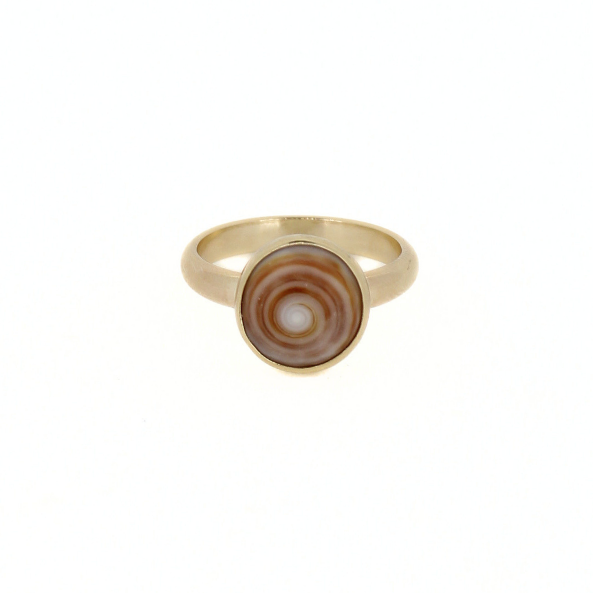 Gold-tone puka shell ring with oval warm brown shell center, size 8