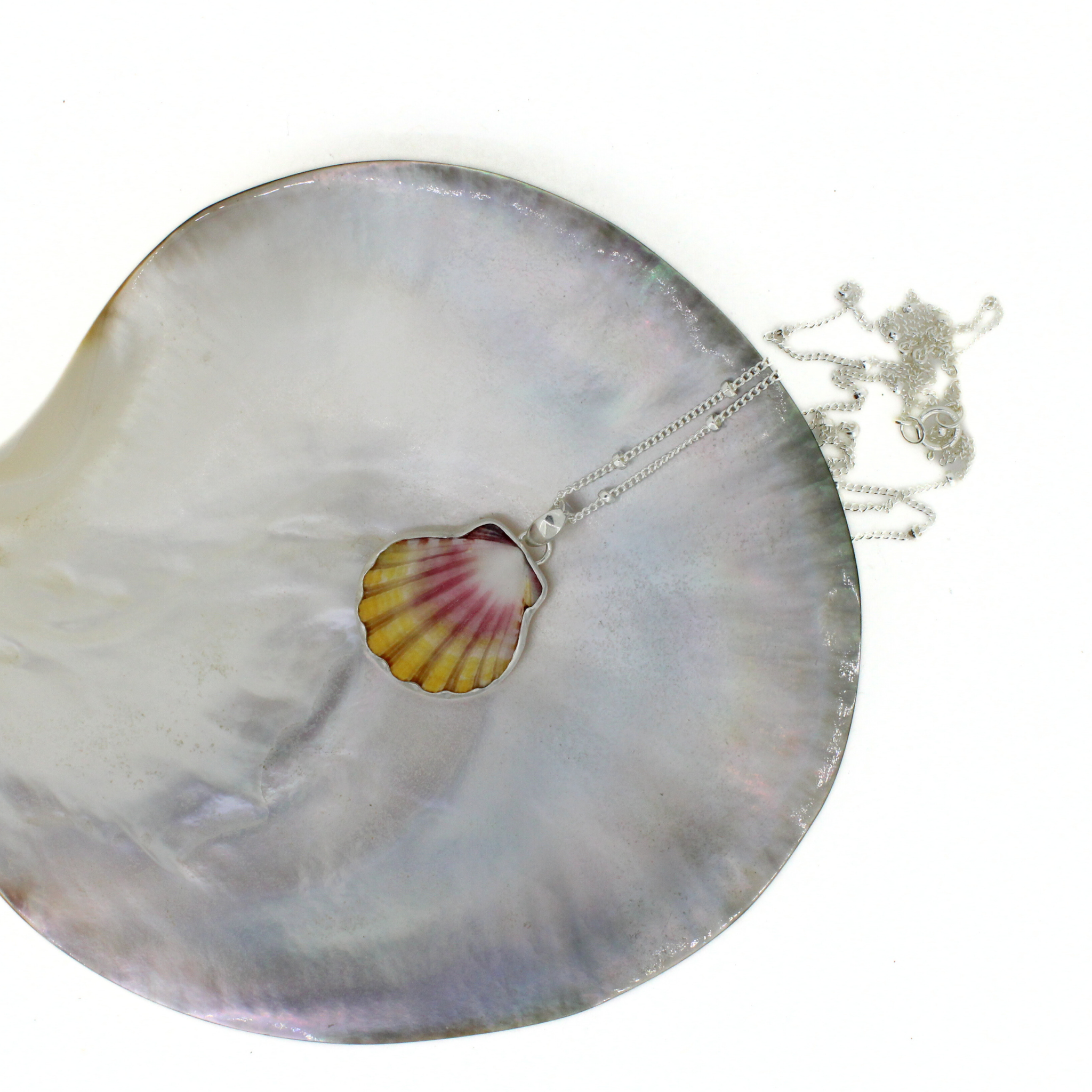 Silver Sunrise Shell Necklace