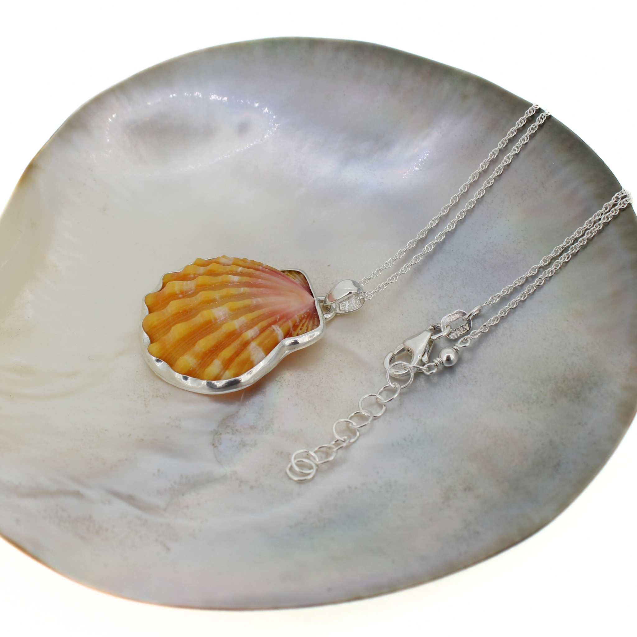 Silver Sunrise Shell Necklace