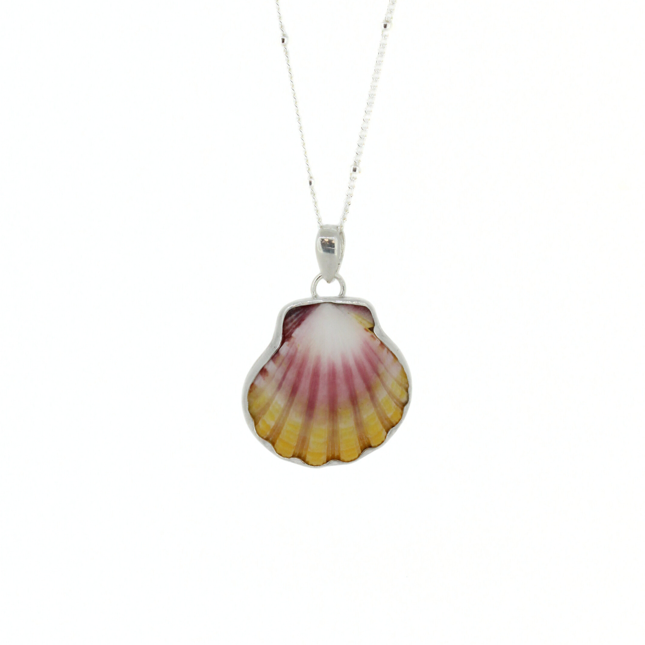 Silver Sunrise Shell Necklace