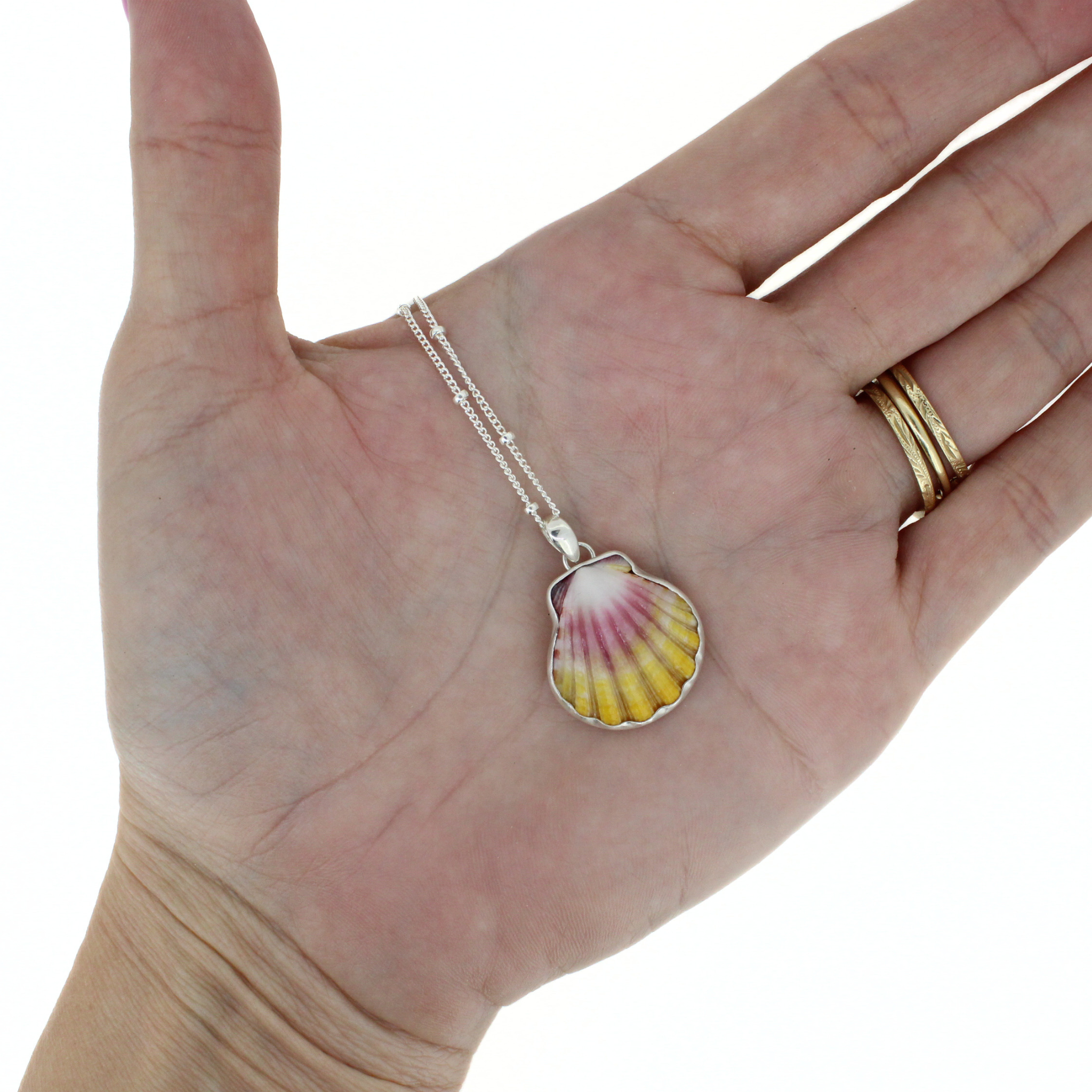 Silver Sunrise Shell Necklace