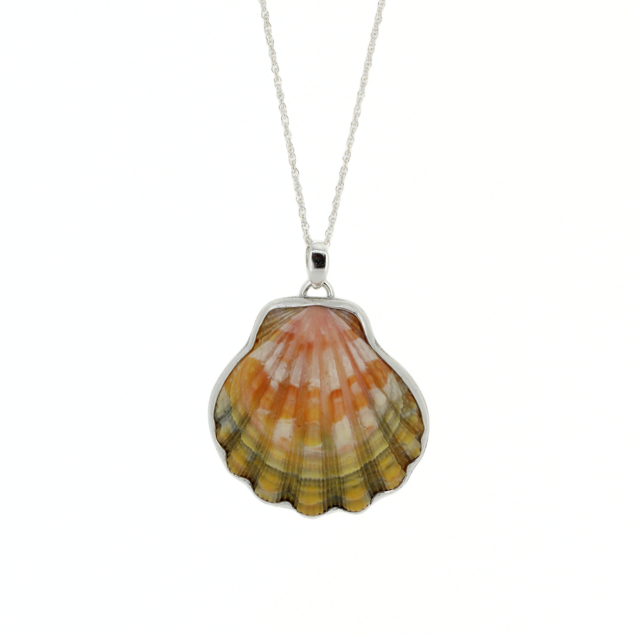 Brianne & Co. sterling silver bezel set Hawaiian sunrise shell necklace