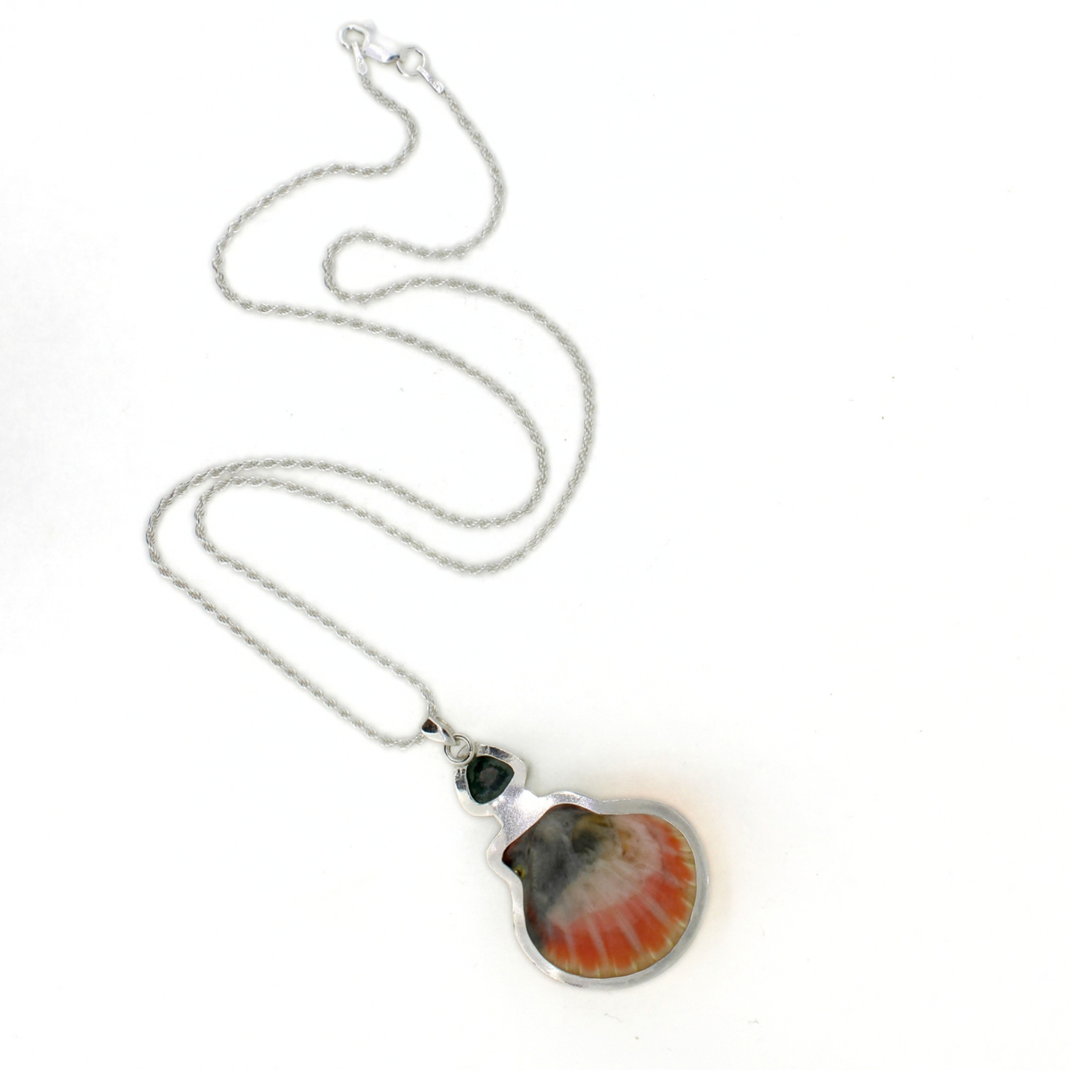 A silver chain necklace with a sunrise shell and tourmaline stone, set against a plain white background.