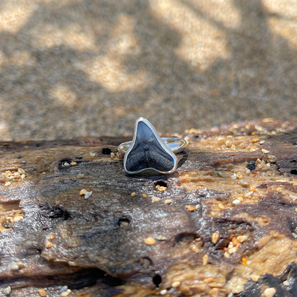 Sterling Silver Fossilized Shark Tooth Ring Size 7.25