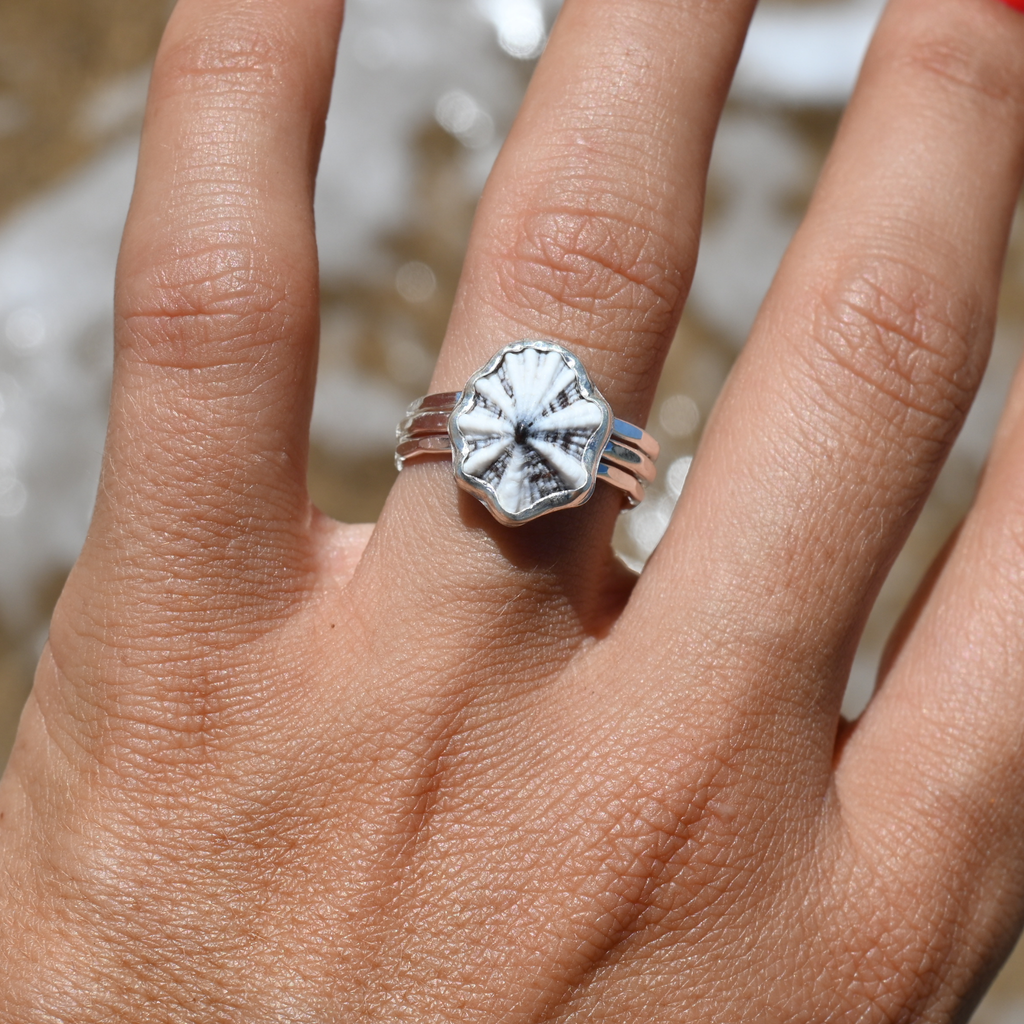Sterling silver bezel set white opihi shell ring with two additional stacker ring bands handmade by Brianne & Co.