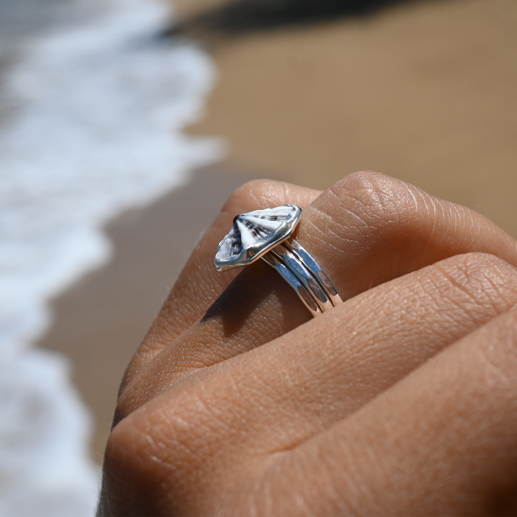 Sterling Silver Opihi Ring Set of 3 Size 7
