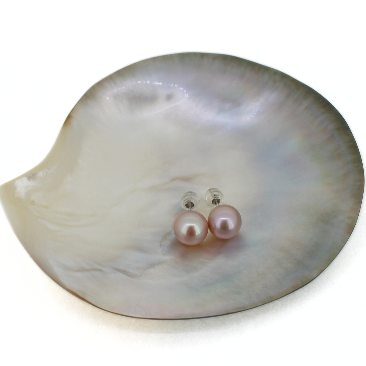 A pair of small pearl stud earrings with silver posts, displayed on a large iridescent mother-of-pearl shell dish against a white background.