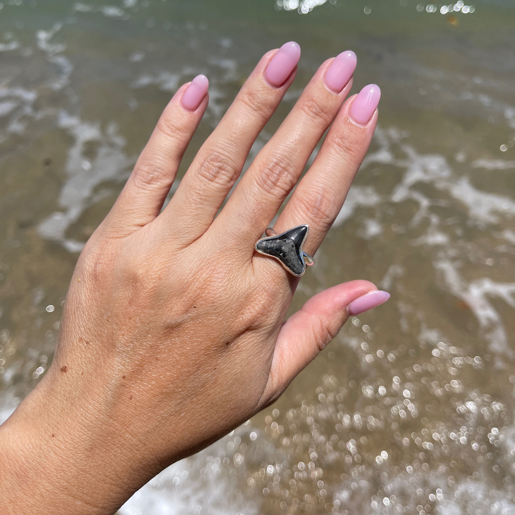 Sterling Silver Fossilized Shark Tooth Ring Size 8