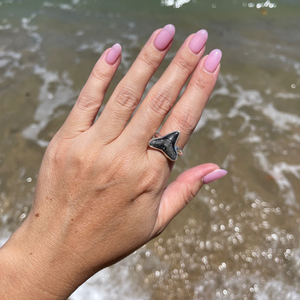 Sterling Silver Fossilized Shark Tooth Ring Size 8