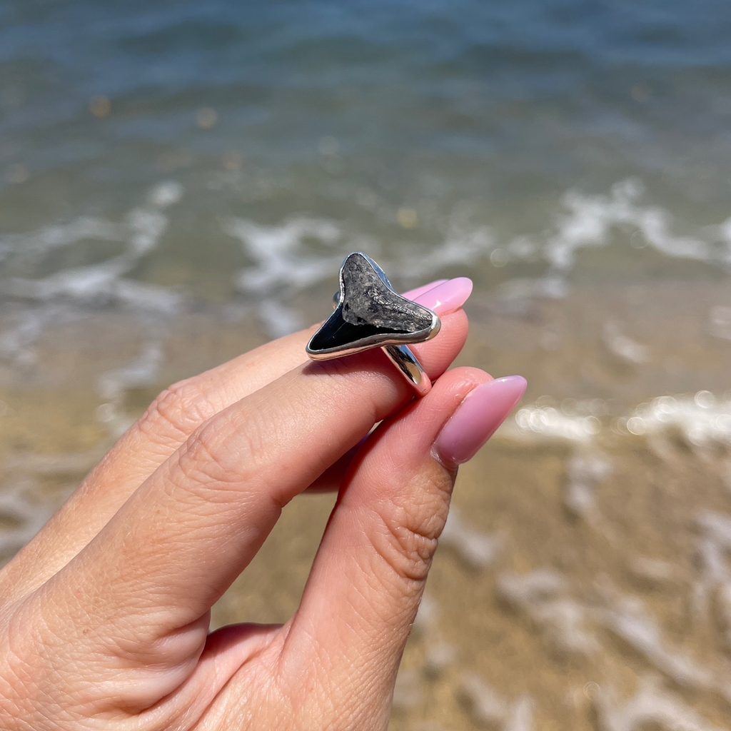 Hand holding a shark tooth ring with ocean waves in the background handmade by Brianne & Co.