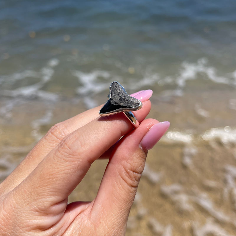 Hand holding a shark tooth ring with ocean waves in the background handmade by Brianne & Co.