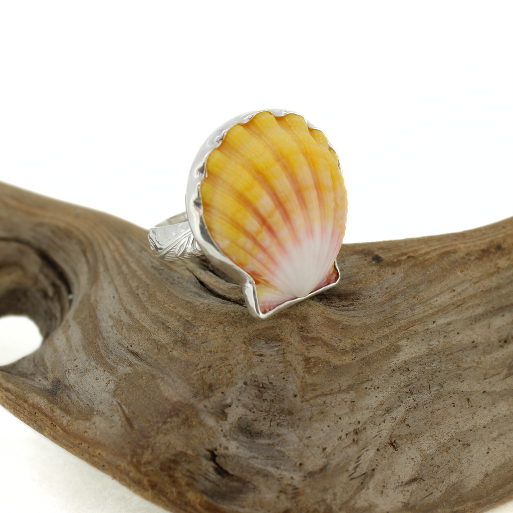 Brianne and Company Sterling Silver Sunrise Shell Ring Size 6 on wood