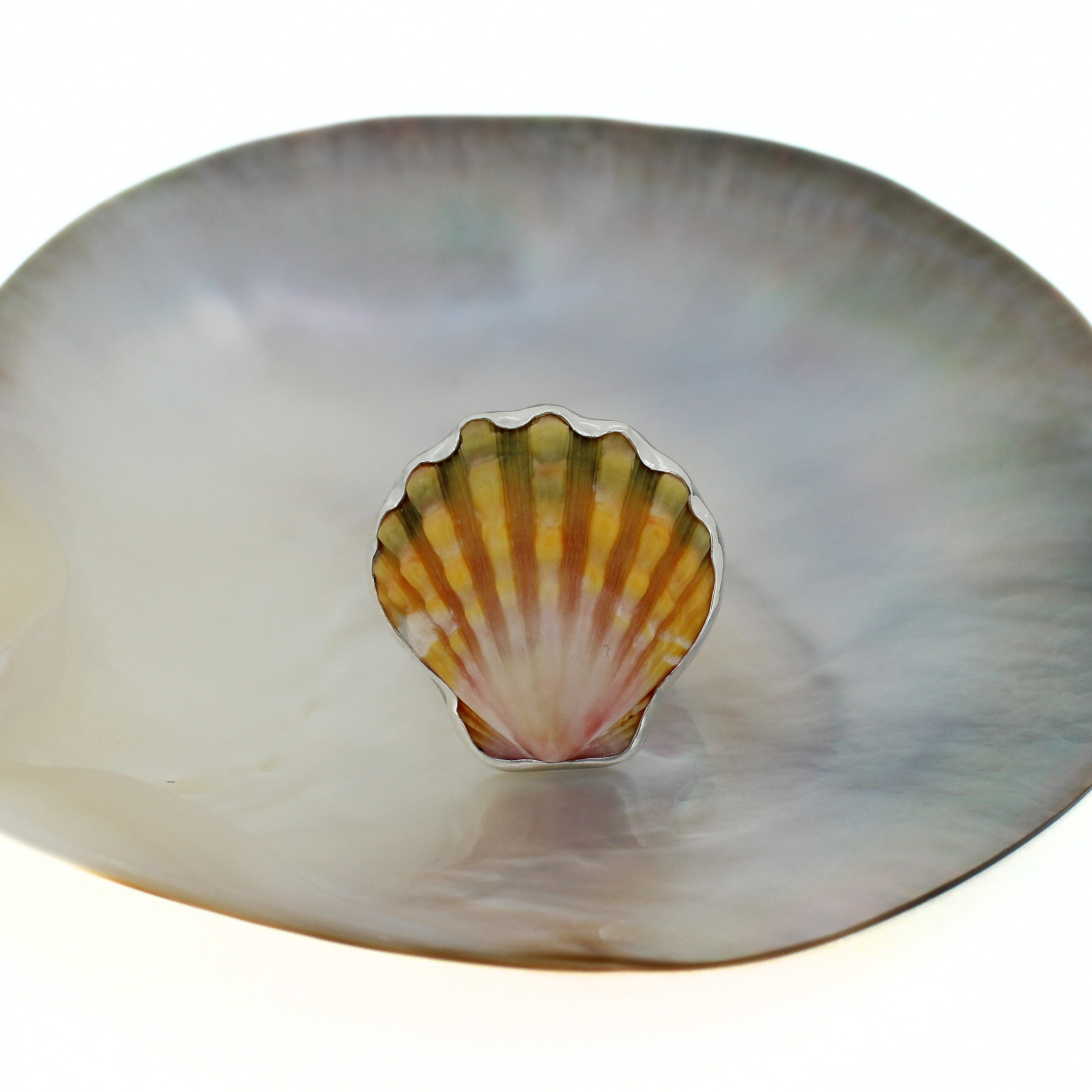 Sterling Silver Sunrise Shell Ring Size 7