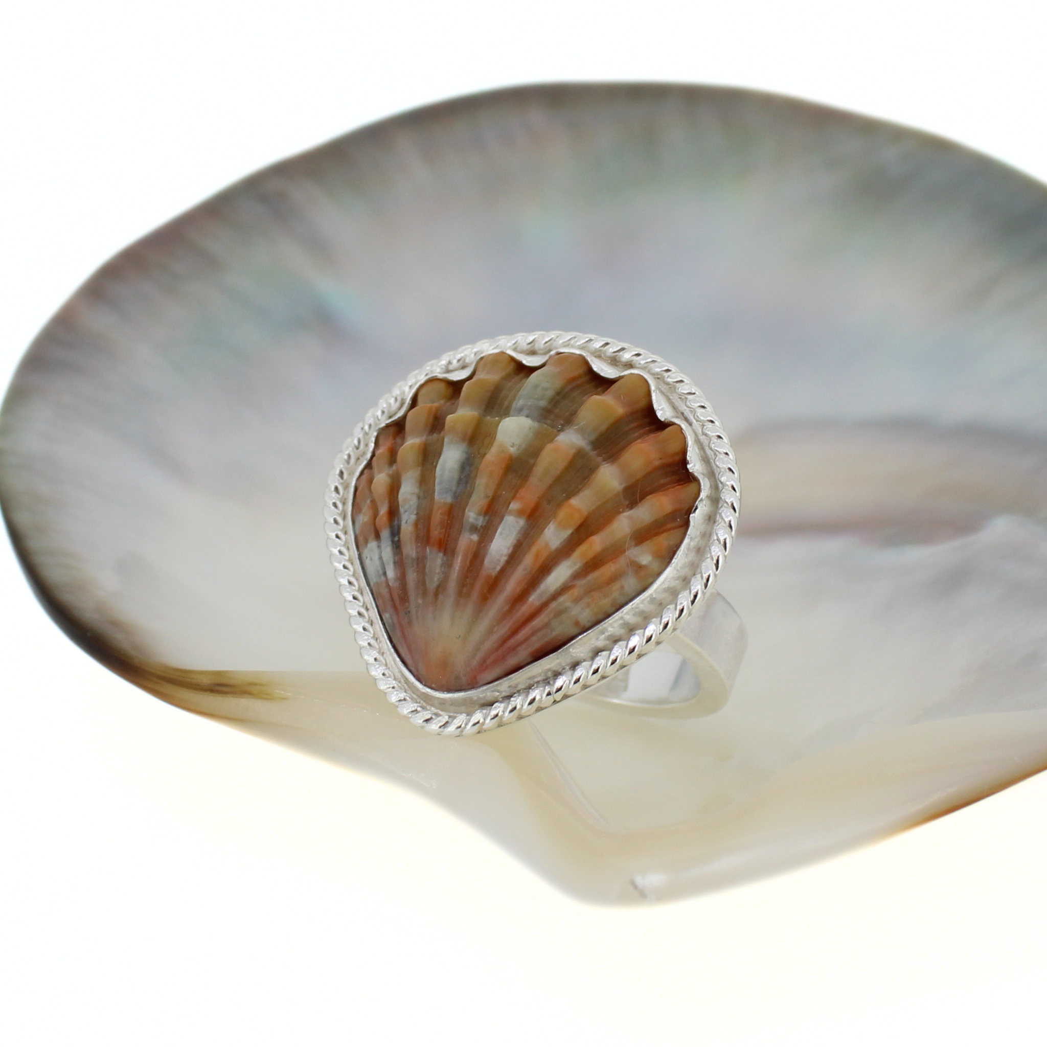 Brianne & Co. bezel set sterling silver Hawaiian sunrise shell ring