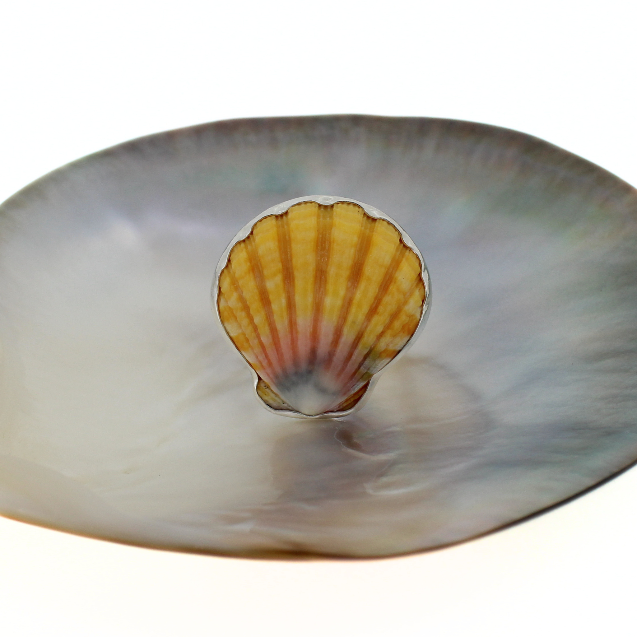Brianne & Co. sterling silver bezel set Hawaiian sunrise shell ring size 9