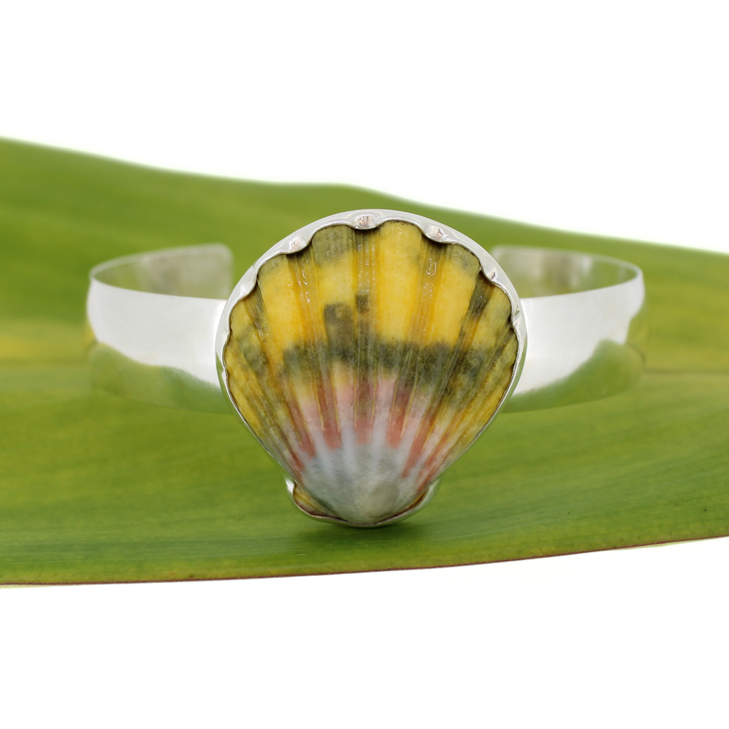 Brianne and Company Sterling Silver Sunrise Shell Statement Cuff