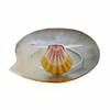 Sterling Silver Sunrise Shell Statement Cuff