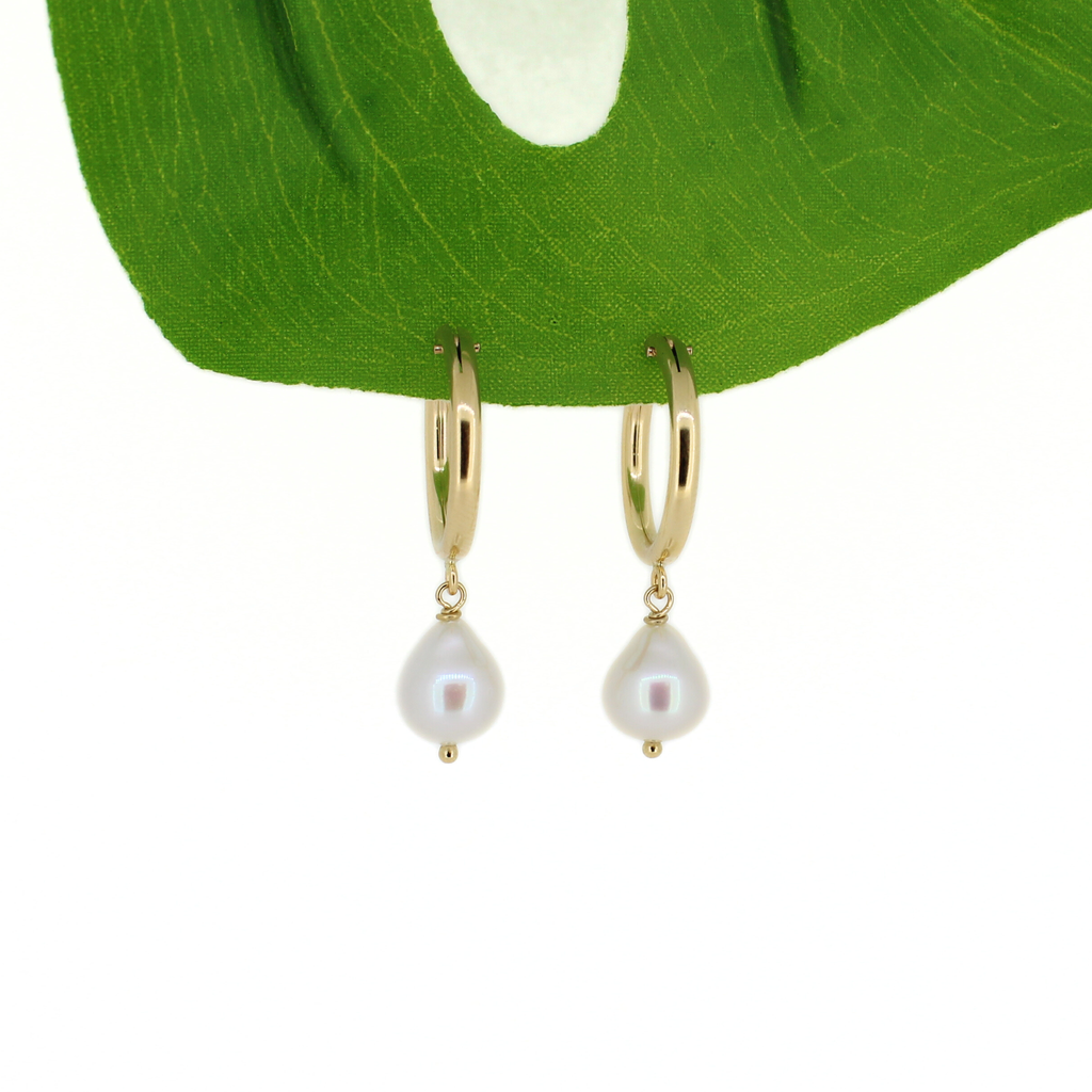 Brianne & Co. 14k Gold Fill Hoops with White Freshwater Pearls