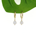Brianne & Co. 14k Gold Fill Hoops with White Freshwater Pearls