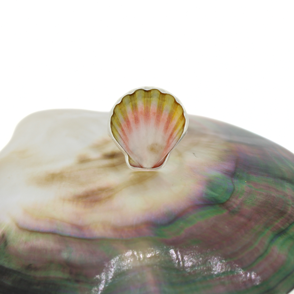 Sterling Silver Sunrise Shell Ring Size 5